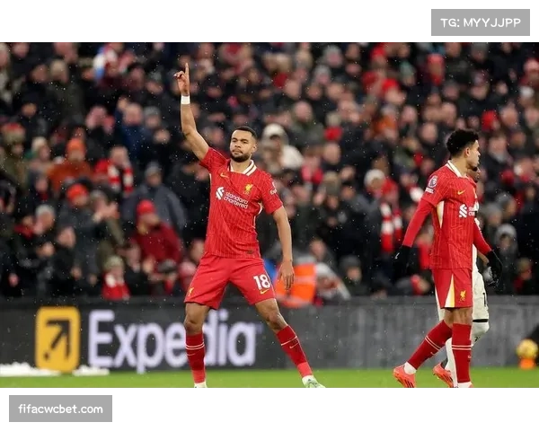 曼联密切关注加克波表现出色 本赛季进攻数据亮眼